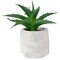 Northlight Artificial Potted Aloe Succulent in Cement Pot - 6"